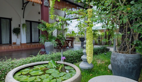 Premier Room, 1 King Bed, Non Smoking, Courtyard View