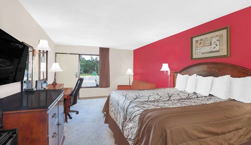 Room, 1 King Bed, Non Smoking