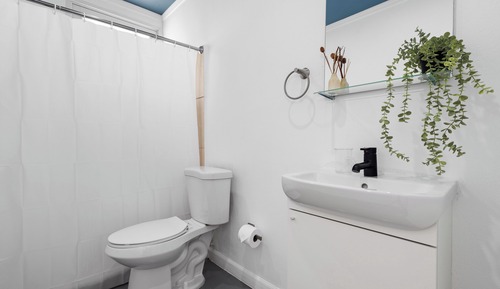 Apartment (1 Bedroom)