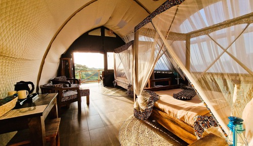 Luxury Room