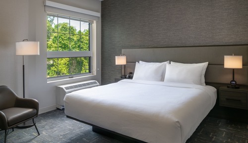 Studio, 1 King Bed with Sofa bed (Hearing Accessible)