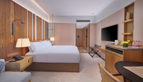 Premium Room, 1 King Bed, Balcony