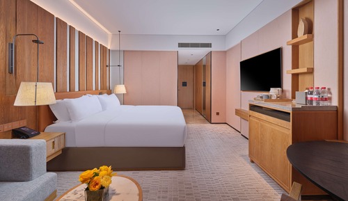 Premium Room, 1 King Bed, Bathtub