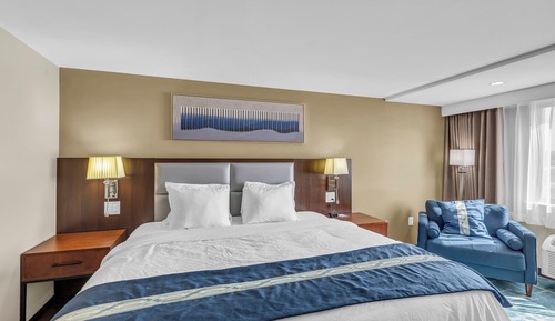 Comfort Single Room, 1 King Bed