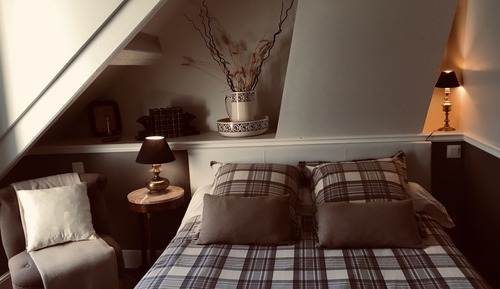 Basic Double Room