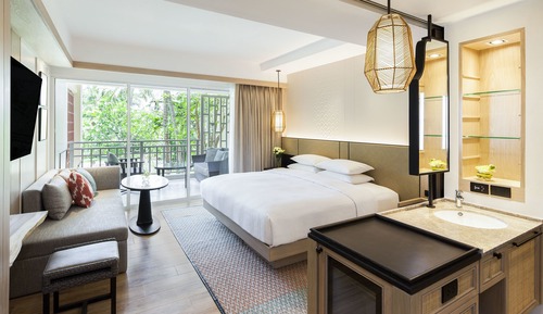 Room, 1 King Bed