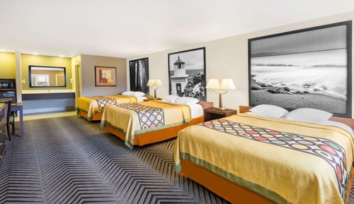 Room, Multiple Beds, Non Smoking