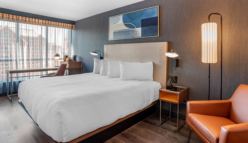 Room, 1 King Bed