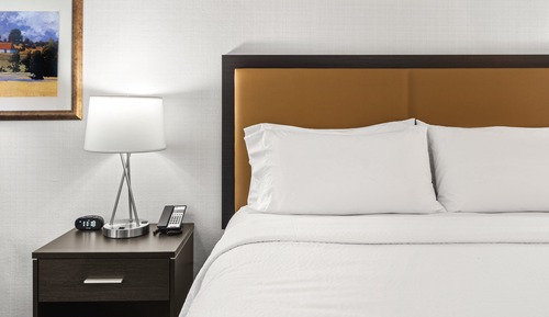 Standard Room, 1 King Bed with Sofa bed