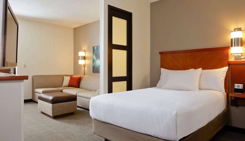 Room, 1 King Bed with Sofa bed (High Floor)