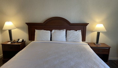 Standard Single Room, 1 King Bed, Non Smoking