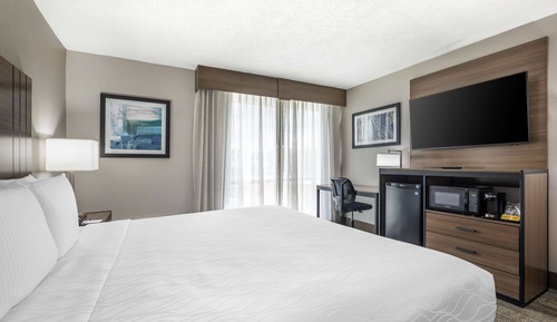 Standard Room, 1 King Bed, Accessible, Refrigerator & Microwave