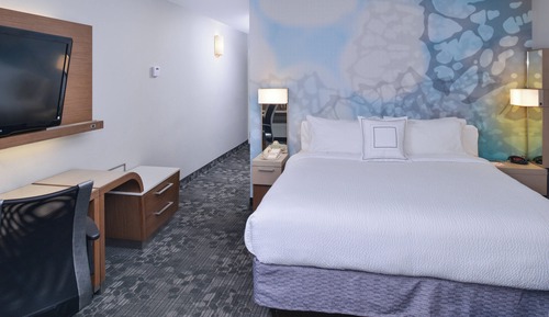 Room, 1 King Bed with Sofa bed