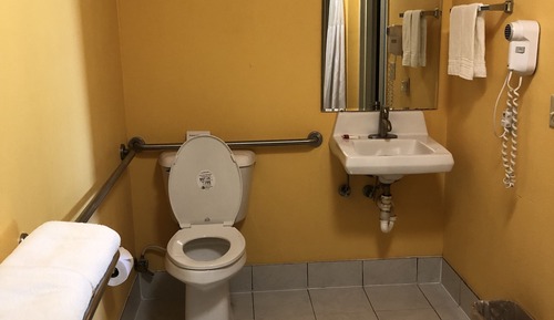 Room, 1 King Bed, Accessible, Non Smoking