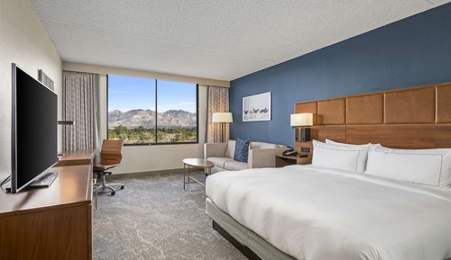 Room, 1 King Bed, Mountain View