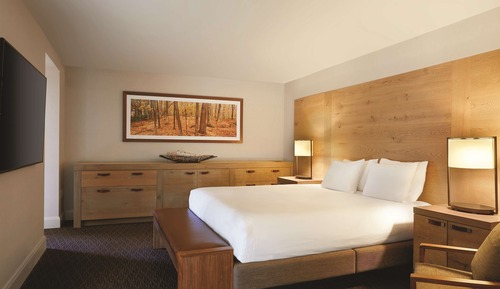 Suite, 1 Bedroom