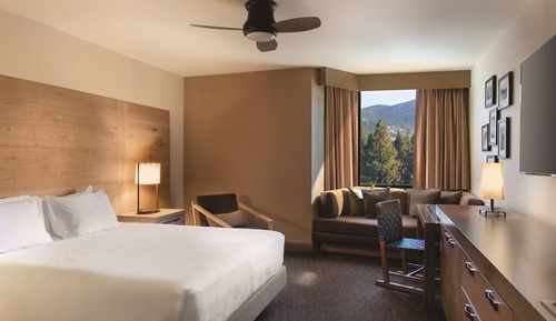 Room, 1 King Bed