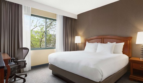 Junior Suite, 1 King Bed