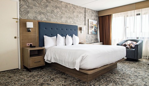 Room, 1 King Bed, Accessible (Roll-In Shower)