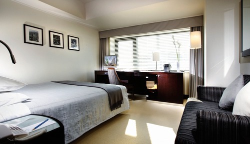 Room, 1 Queen Bed (Cosy)