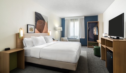 Room, 1 Queen Bed, Accessible (Mobility, Roll-in Shower)