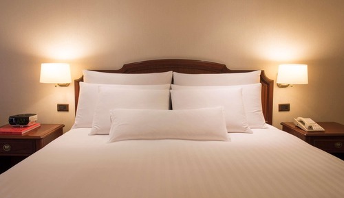 Swiss, Room, 1 King Bed
