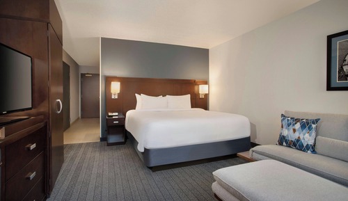Room, 1 King Bed with Sofa bed