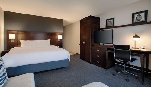 Room, 1 King Bed with Sofa bed (Hearing Accessible)