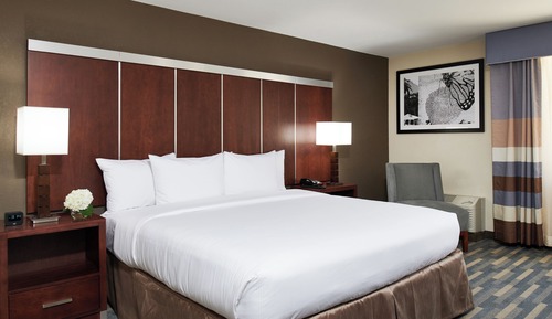 Room, 1 King Bed, Accessible (Roll-In Shower, Mobility & Hearing)
