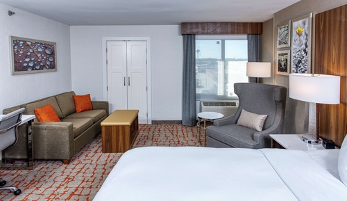 Room, 1 King Bed