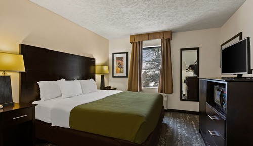 Room, 1 King Bed, Non Smoking