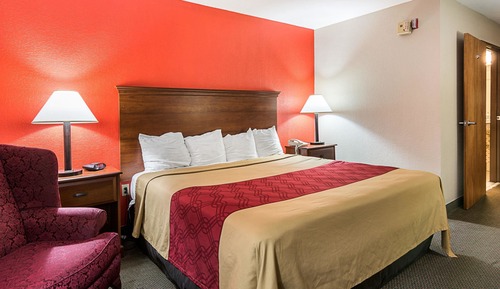 Standard Room, 1 King Bed, Accessible, Smoking