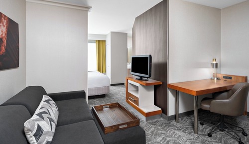 Suite, 1 King Bed with Sofa bed (Mobility/Hearing Access, Roll-In Shwr)