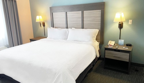 Standard Room, 1 Queen Bed with Sofa bed, Accessible (Communications, Mobility)