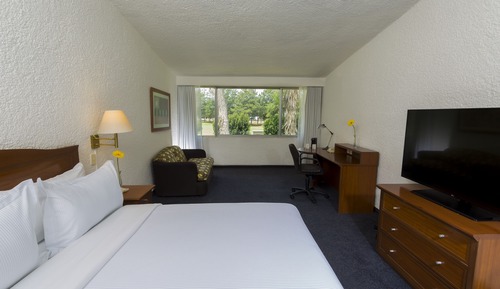 Superior Room, 1 King Bed