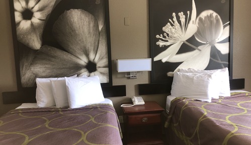 Double Room, 2 Double Beds