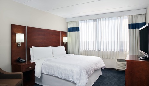 Suite, 1 King Bed with Sofa bed