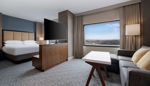 Room, 1 King Bed with Sofa bed