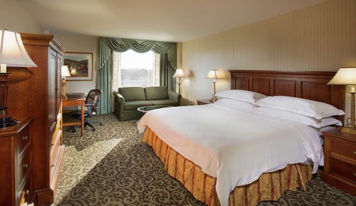Room, 1 King Bed, Accessible (Roll-In Shower)
