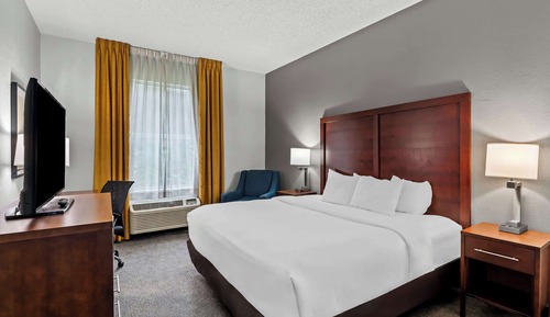 Room, 1 King Bed, Accessible, Non Smoking