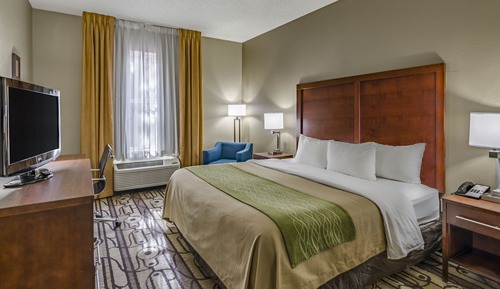Standard Room, 1 King Bed, Non Smoking