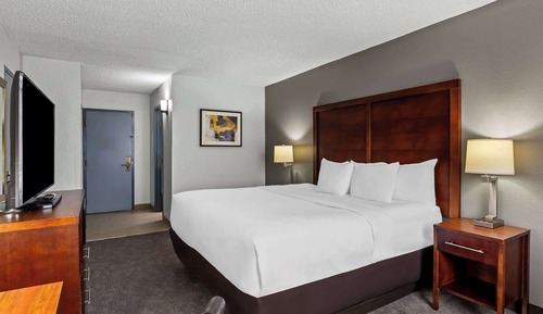 Standard Room, 1 King Bed with Sofa bed, Non Smoking (No Pets)