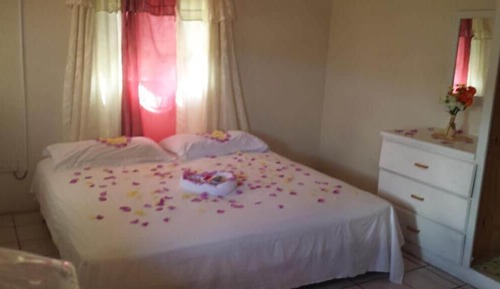 Basic Double Room