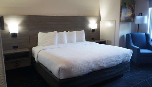 Standard Room, 1 King Bed, Non Smoking
