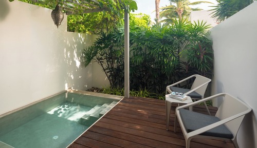 Deluxe Spa Pool