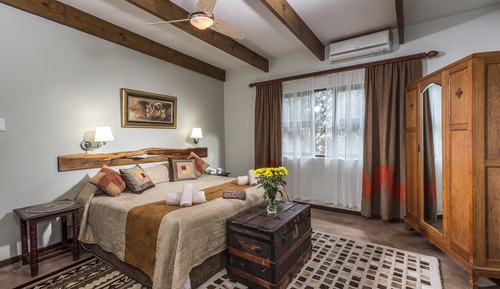 Comfort Studio Suite, 1 Bedroom (Lion Suite )