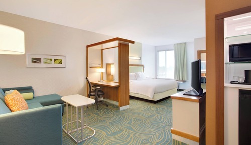 Suite, 1 King Bed with Sofa bed, Non Smoking