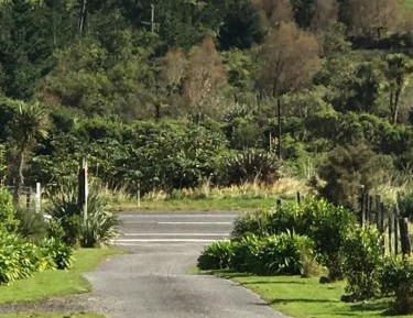 Two-Bedroom Cottage - Rata