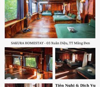 4-Bed Mixed Dormitory Room