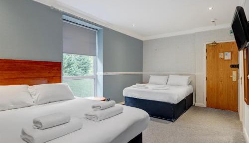 Standard Quadruple Room